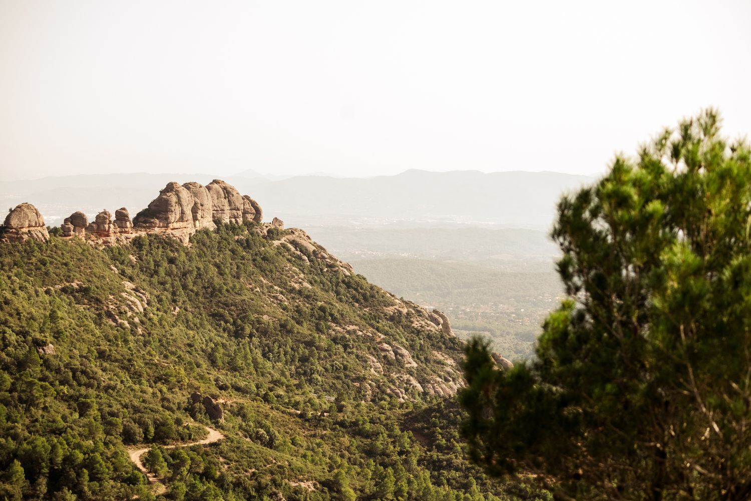 Expansión internacional de RRAT’s Outdoor